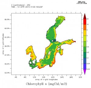 sb_chlorofil_fig2_prawy