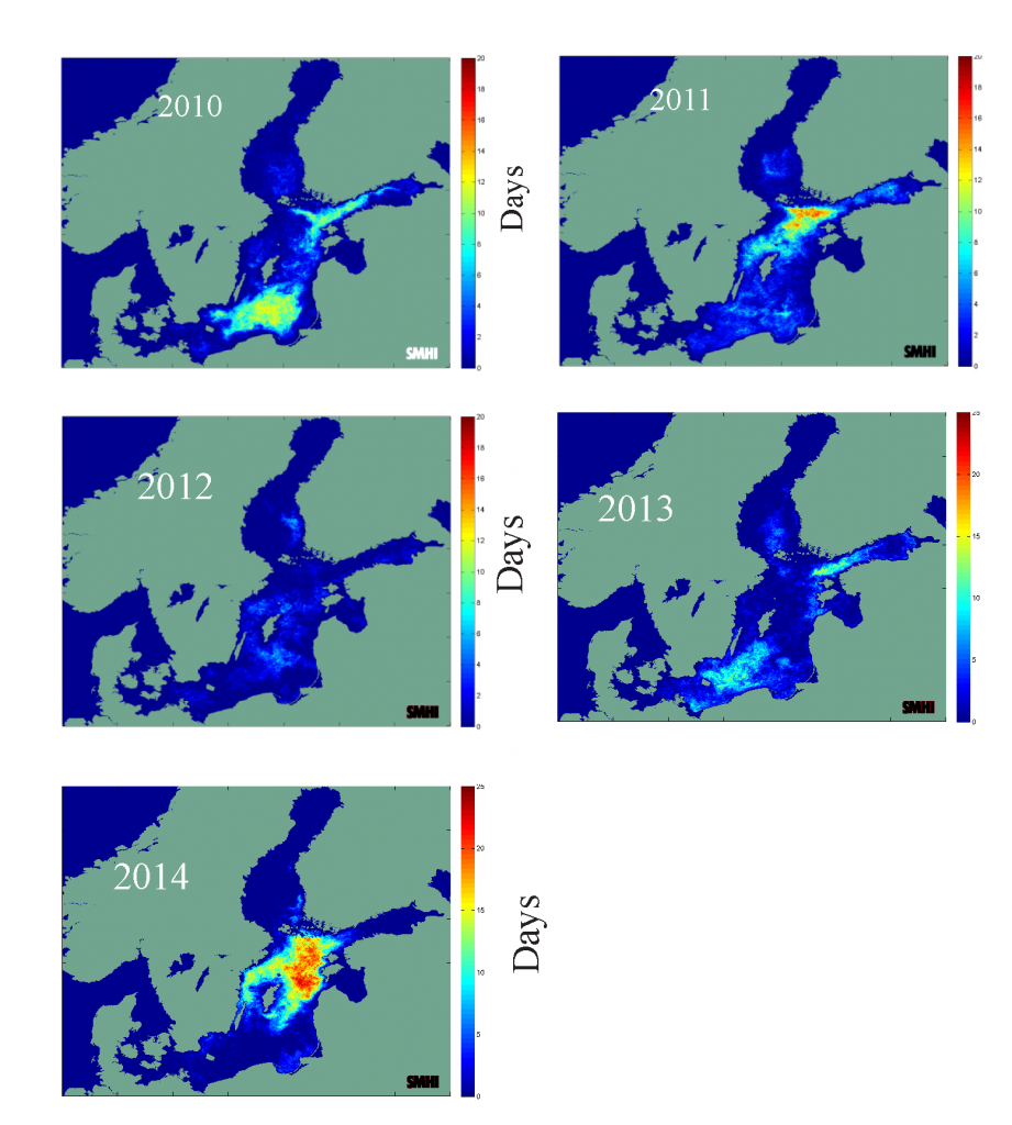 zakwity sinic 2010-2014-1